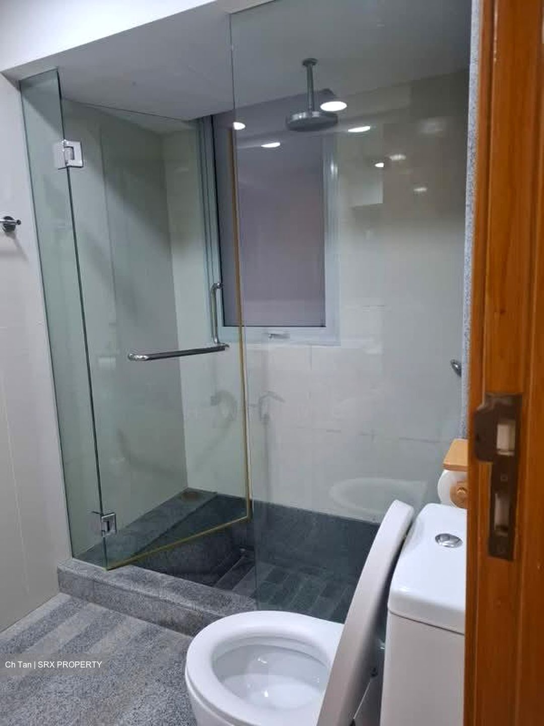 8 @ Mount Sophia (D9), Condominium #575613131